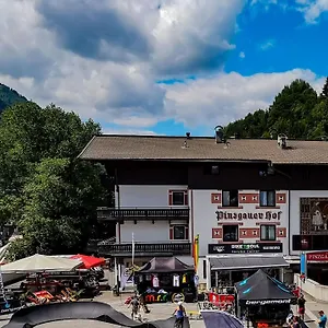 Pinzgauerhof & Bike - Inclusive Evening Dinner Hotel